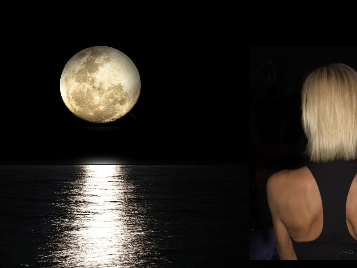 Sentimenti controvento