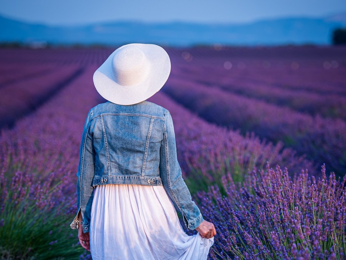 Tra alabarde spaziali e lame rotanti